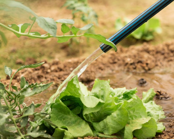 家中化糞池滿了怎麼辦？抽水肥的判斷與處理方法