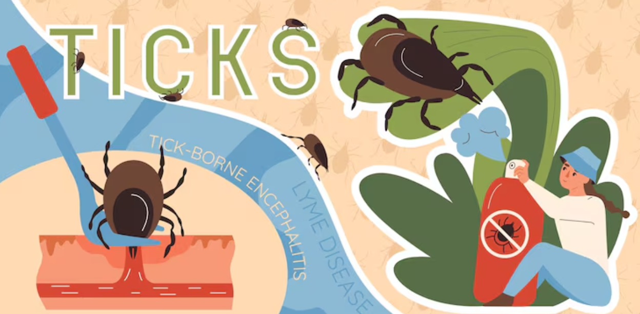 除白蟻費用高嗎？專家解析影響價格的 5 大因素